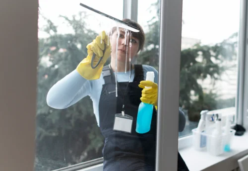Nettoyage de vitres intérieures et extérieures à Montamisé